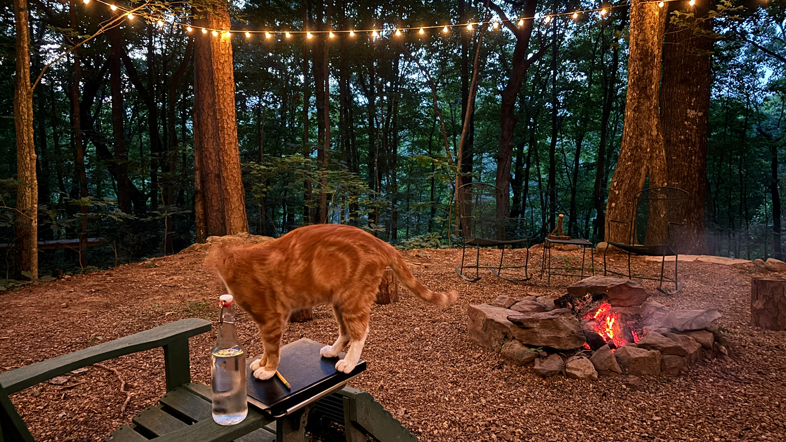The Firepit — photo