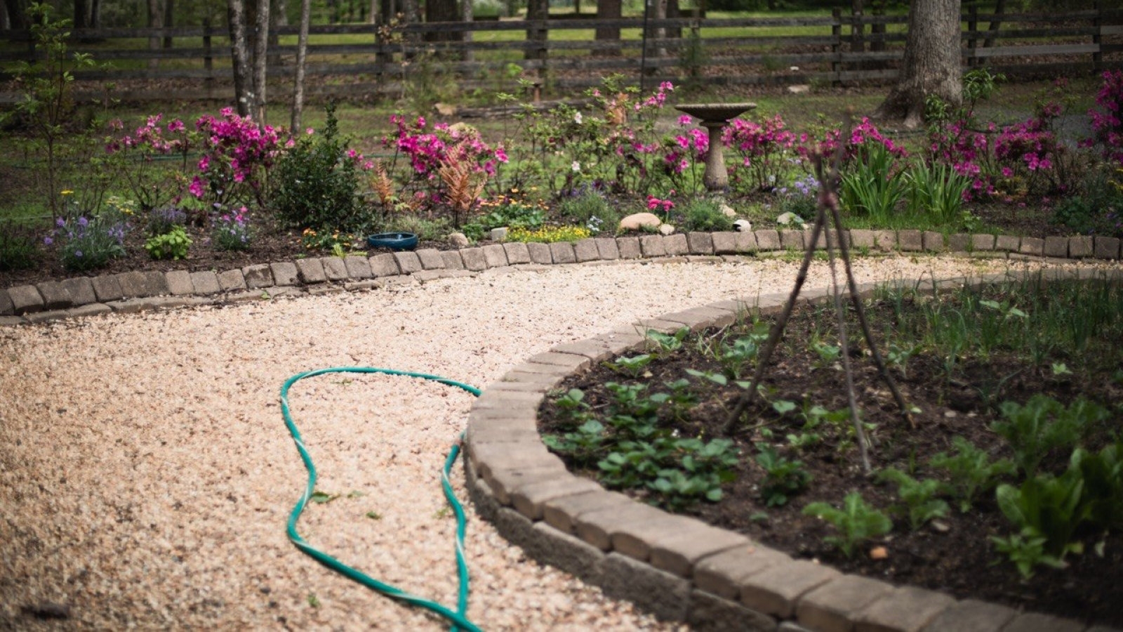 The Garden — photo